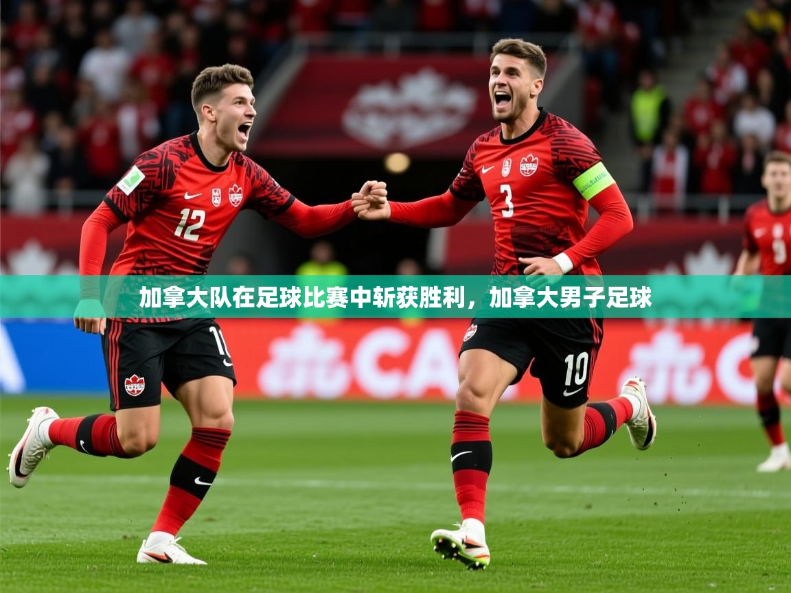 2025 迈博体育加拿大队在足球比赛中斩获胜利,加拿大男子足球 第4张