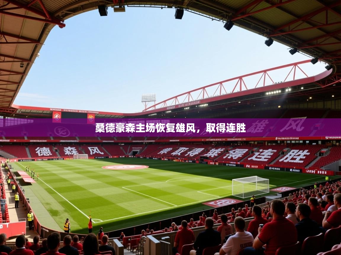 2026 迈博体育app官网桑德豪森主场恢复雄风,取得连胜 第1张