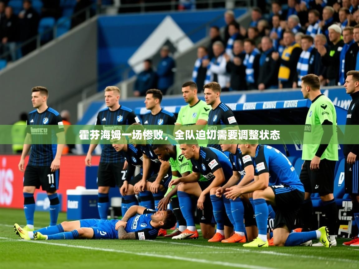 2026 迈博体育在线霍芬海姆一场惨败,全队迫切需要调整状态 第1张